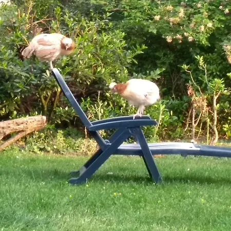 Eurode Grenzenlos - Drei Laender In Greifbarer Naehe