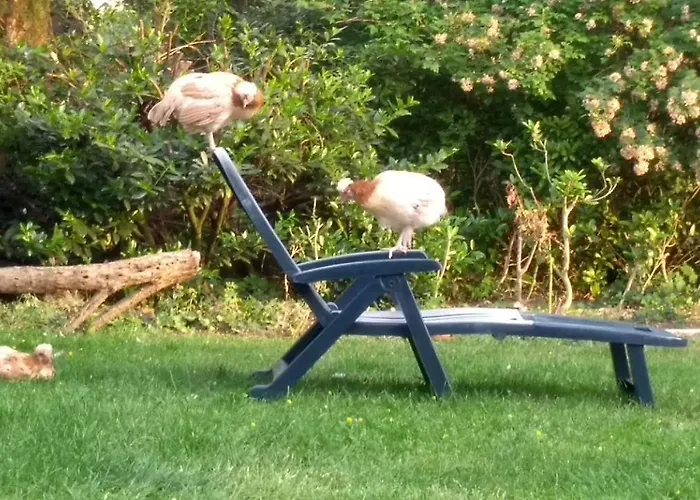 Eurode Grenzenlos - Drei Laender In Greifbarer Naehe