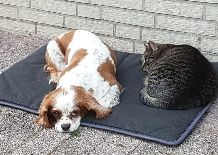 Eurode Grenzenlos - Drei Laender In Greifbarer Naehe 아파트 아헨